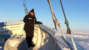 Faut pas rêver Au Groenland : sur la route des icebergs