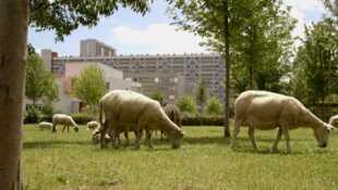 Le champ des possibles