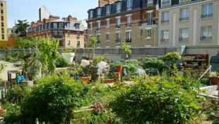 Toits de Paris, des jardins extraordinaires
