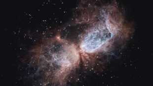 Le cosmos dans tous ses états