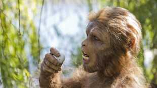 Sur les traces du premier homme Sur les traces du premier homme